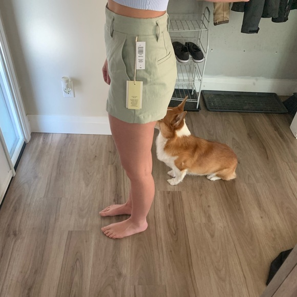 Aritzia Wilfred Shorts - Picture 3 of 7